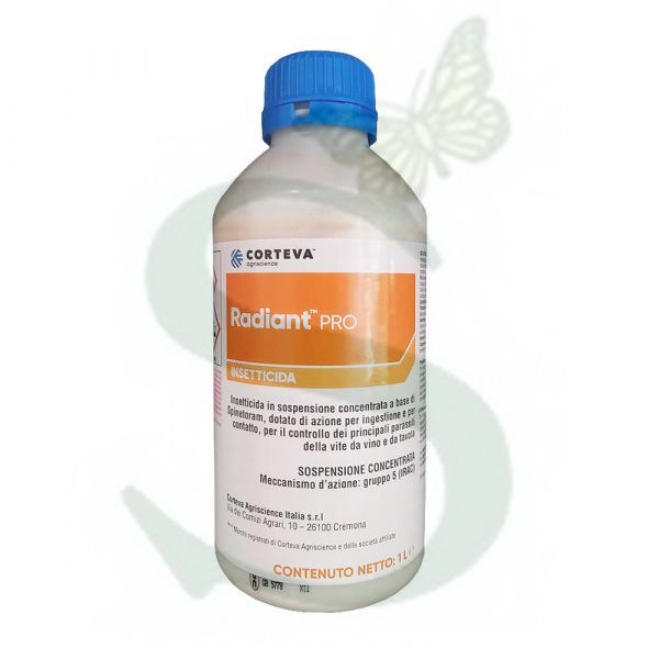 RADIANT PRO x 1 lt.