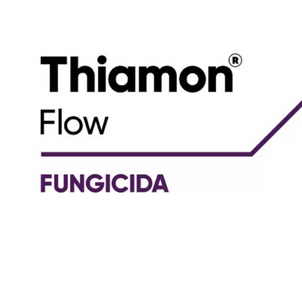 THIAMON FLOW x 10 lt.