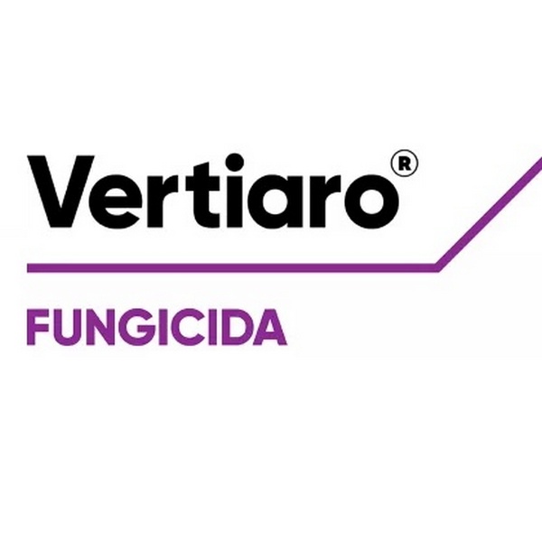 CORVE600050 - VERTIARO x 500 ml.