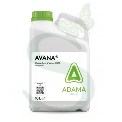 AVANA x 10 lt.