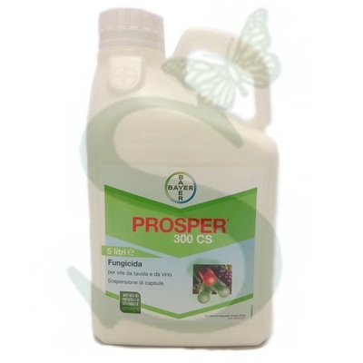 PROSPER 300 CS x 5 lt.