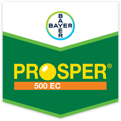 PROSPER 500 EC x 1 lt.