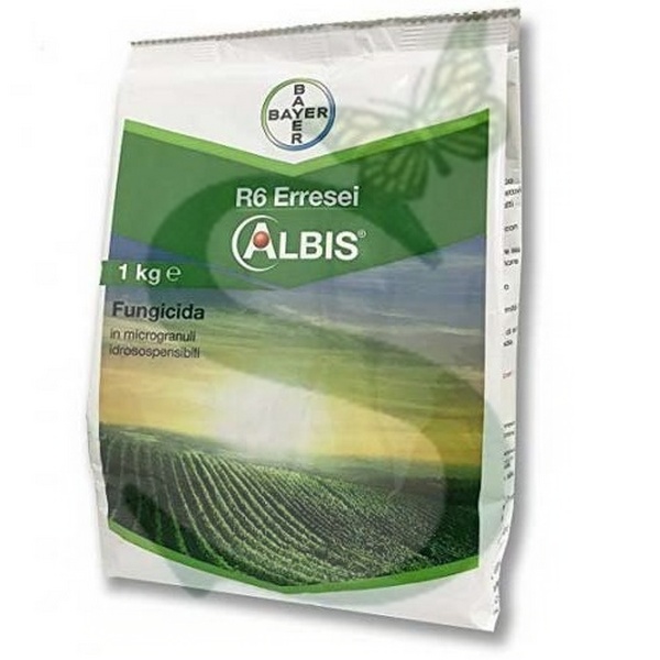 R6 ERRESEI ALBIS WG x 1 kg.