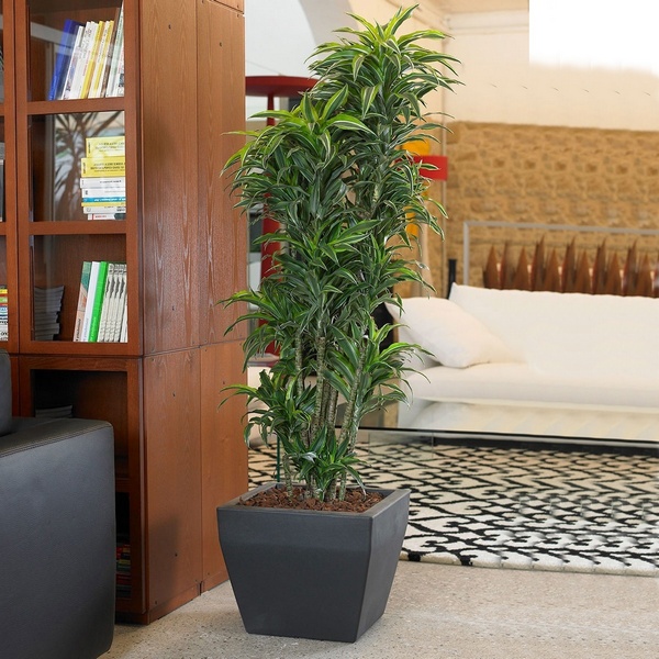 VASO AKAN QUADRO CM.40 NERO PERLA