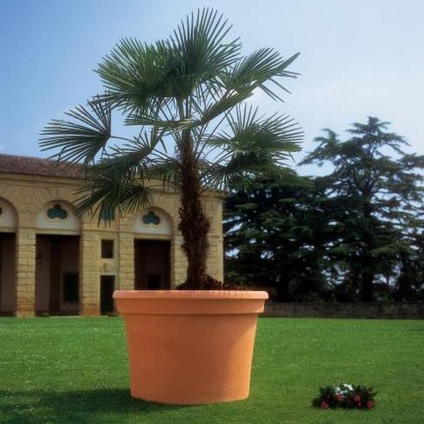 VASO CILINDRO CM.60 ROT T.SIENA