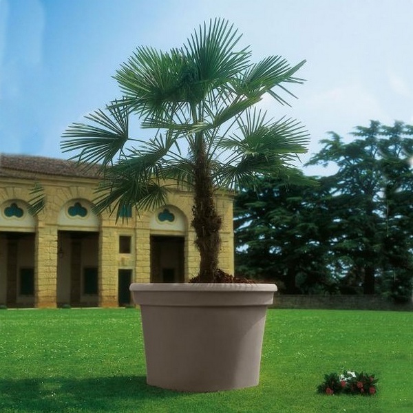 VASO CILINDRO CM.70 ROT TORTORA