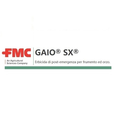 GAIO SX x 20 gr.
