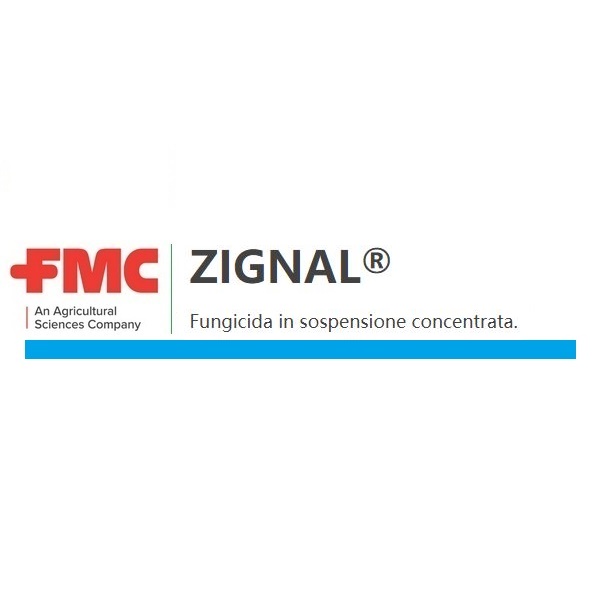 ZIGNAL x 1 lt.