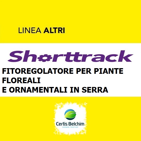 SHORTTRACK x 1 kg.