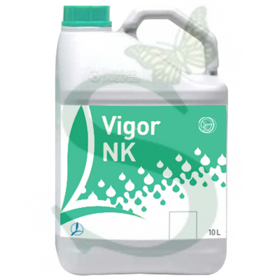 VIGOR NK -BIO- x 10 Lt.
