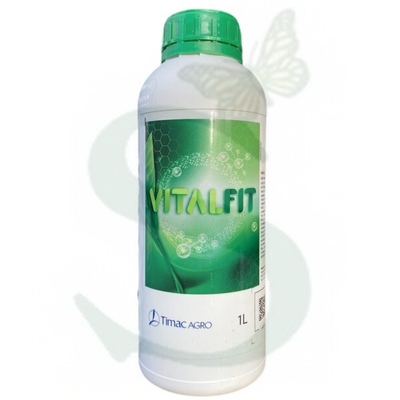 VITALFIT x 1 Lt.