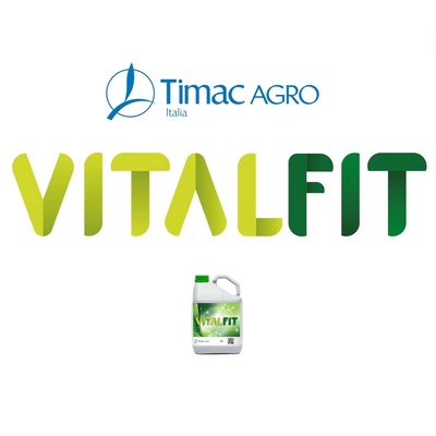 VITALFIT x 5 Lt.