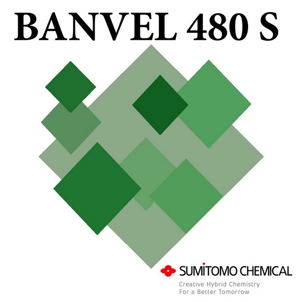 BANVEL 480 S x 1 lt.