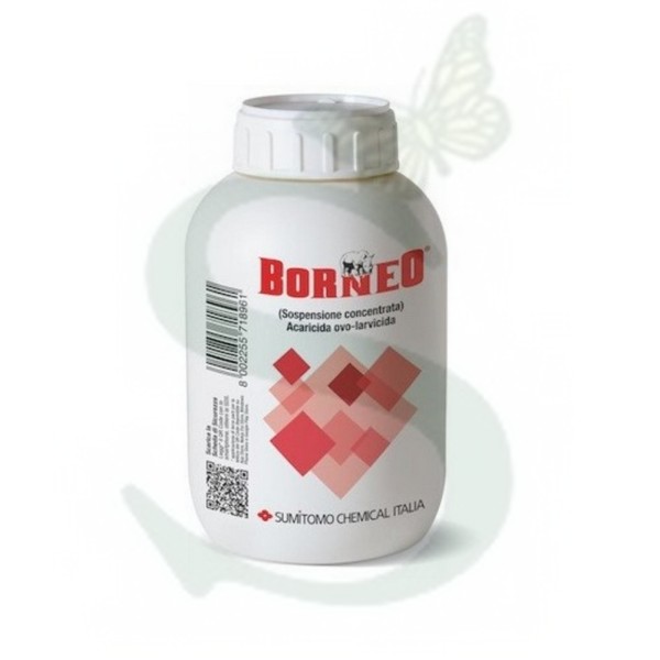 SUMBO401000 - BORNEO x 500 ml.