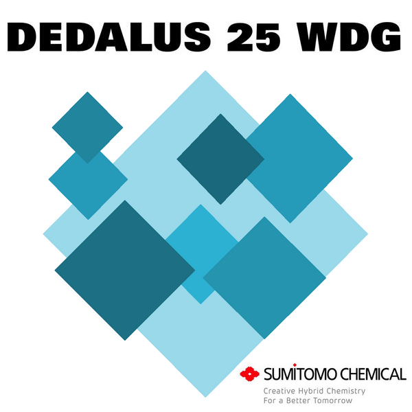 DEDALUS 25 WDG x 500 gr.