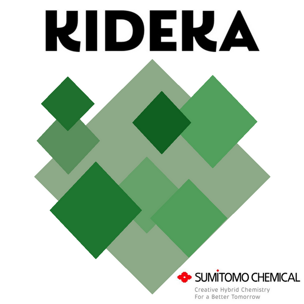 KIDEKA x 5 lt.