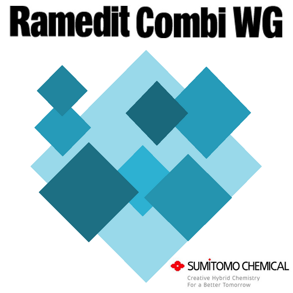RAMEDIT COMBI WG x 1 kg.
