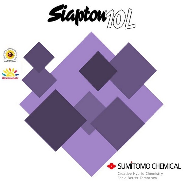 SIAPTON 10 L x 6 kg.