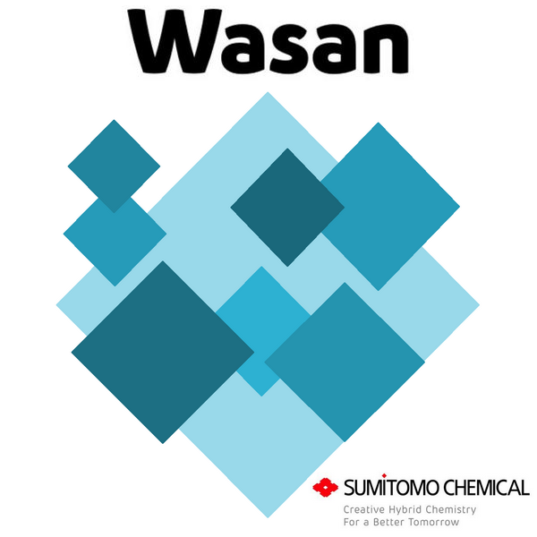 WASAN x 1 lt.