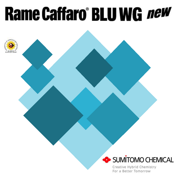 RAME CAFFARO BLU WG NEW -BIO- x 20 kg.