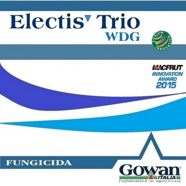 ELECTIS TRIO WDG x 10 kg.