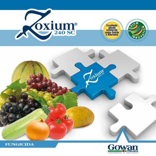ZOXIUM 240 SC x 5 lt.