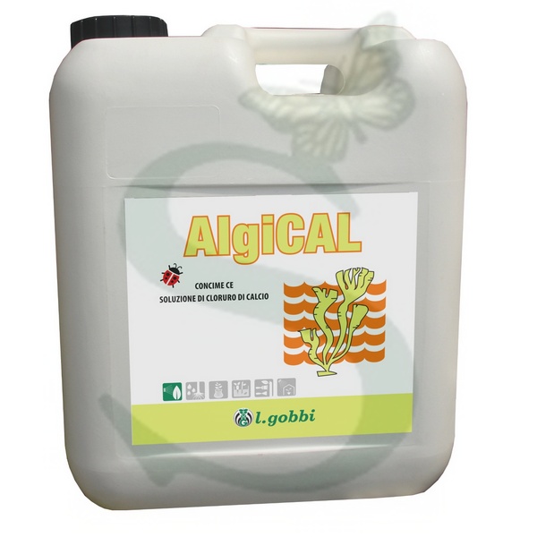 ALGICAL x 10 lt.