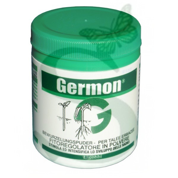 GERMON H Talee erbacee x 100 gr.