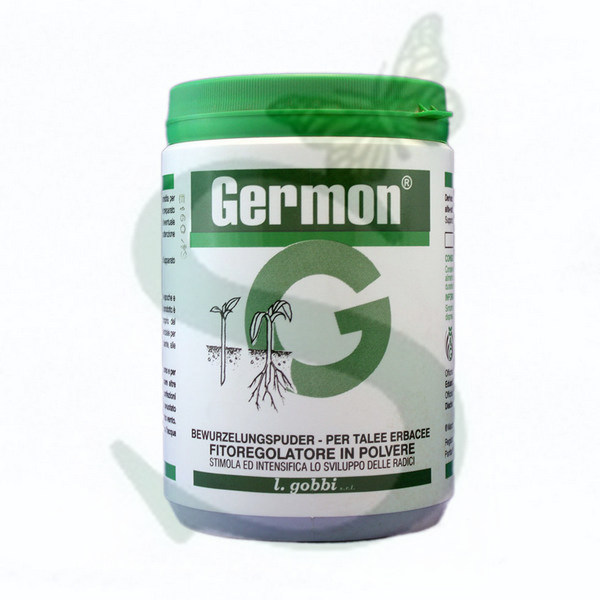 GERMON H Talee erbacee x 500 gr.