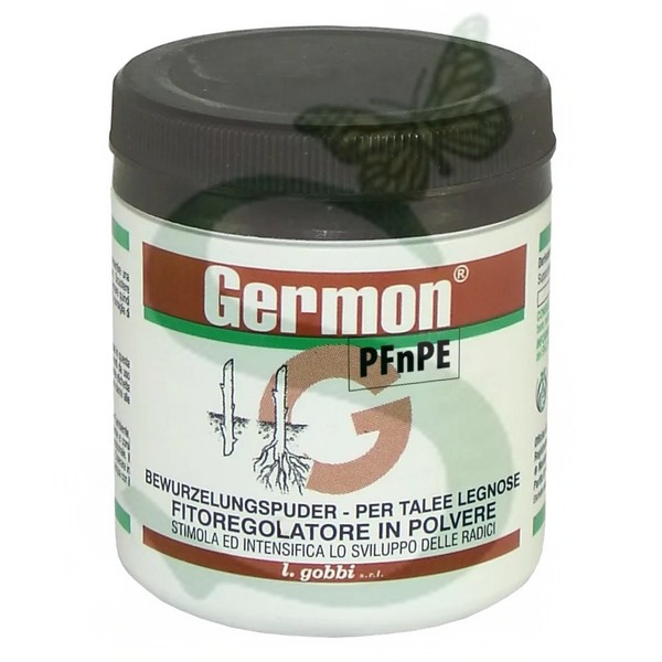 GERMON H Talee legnose x 100 gr.