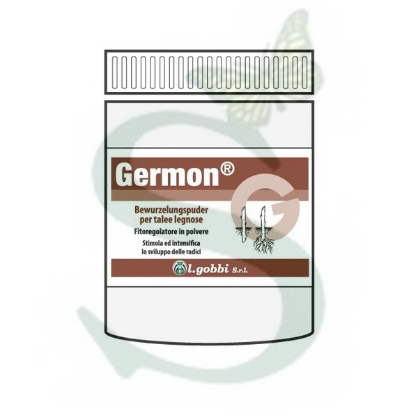 GERMON H Talee legnose x 250 gr.