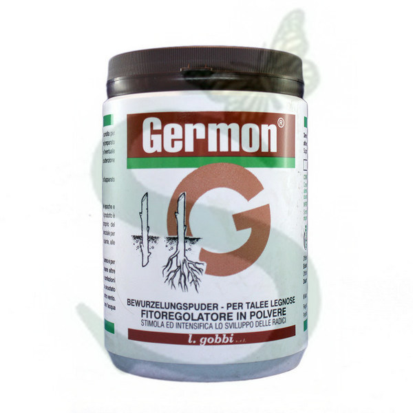 GERMON H Talee legnose x 500 gr.