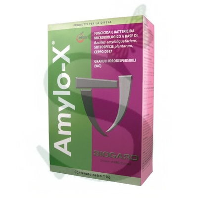 AMYLO-X x 1 kg.