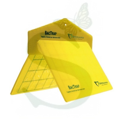 BIOBA100012 - KIT BAC TRAP x 1 pz.