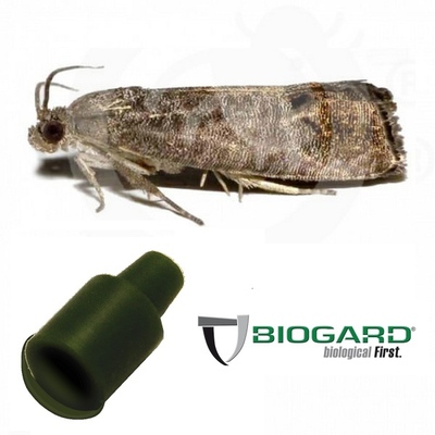 BIOFE5001CP - FEROMONE CYDIA POMONELLA x 1 pz.