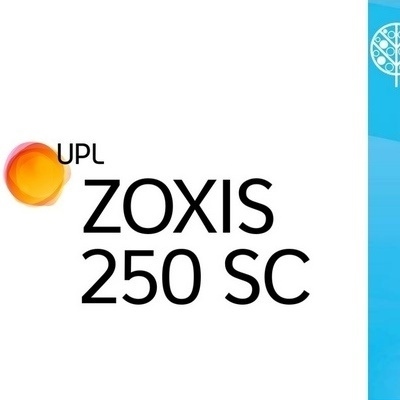ZOXIS 250 SC x 5 lt.