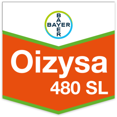 OIZYSA 480 SL x 1 lt.