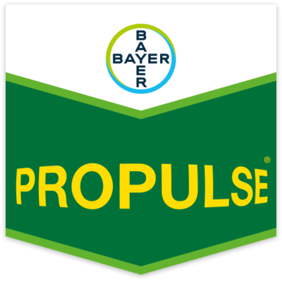 PROPULSE x 1 lt.