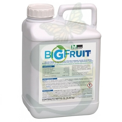 MASBI300500 - BIG FRUIT x 5 lt.