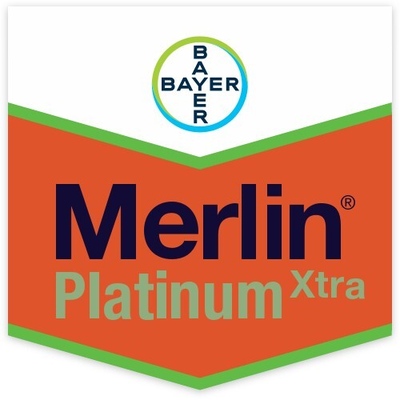 MERLIN PLATINUM XTRA x 6 lt. (5 lt+1 lt)