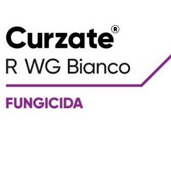 CURZATE R WG BIANCO x 1 kg.