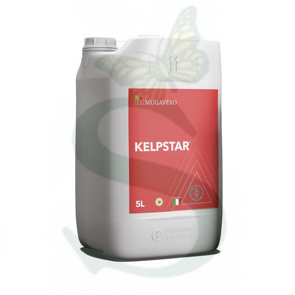 KELPSTAR -BIO- x 5 lt.