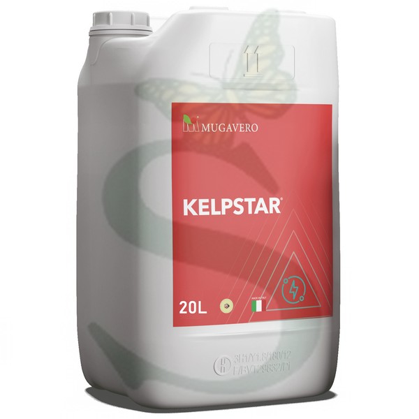 KELPSTAR -BIO- x 20 lt.