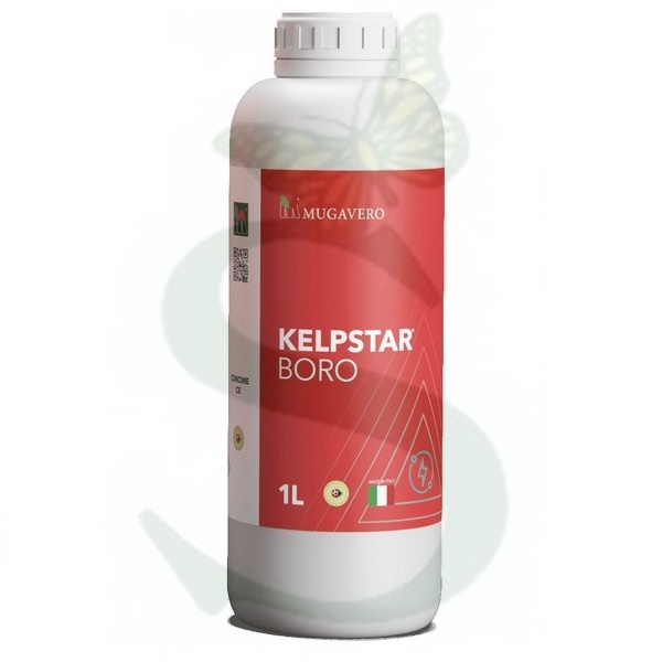 KELPSTAR BORO -BIO- x 1 lt.