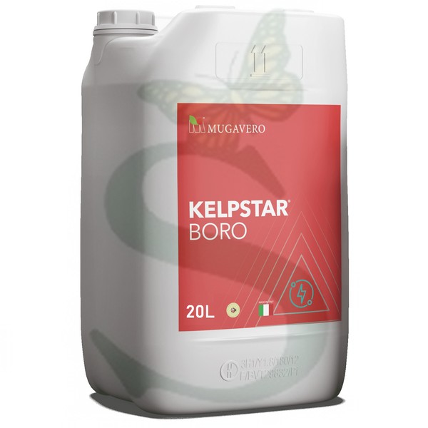 KELPSTAR BORO -BIO- x 20 lt.