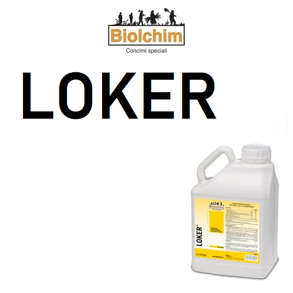 BIHLO4000050 - LOKER x 5 Lt.