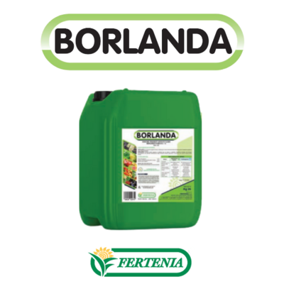 BORLANDA -BIO- x 25 kg.