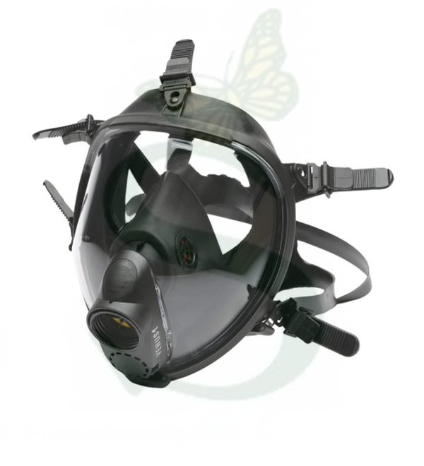 KAS1005006 - MASCHERA INTERA VENUS1
