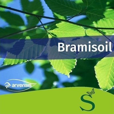 BRAMISOIL x 5 lt.