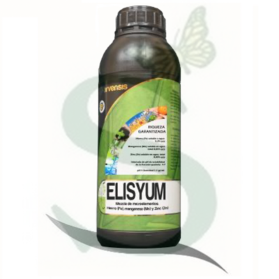 ELISYUM x 1 lt.